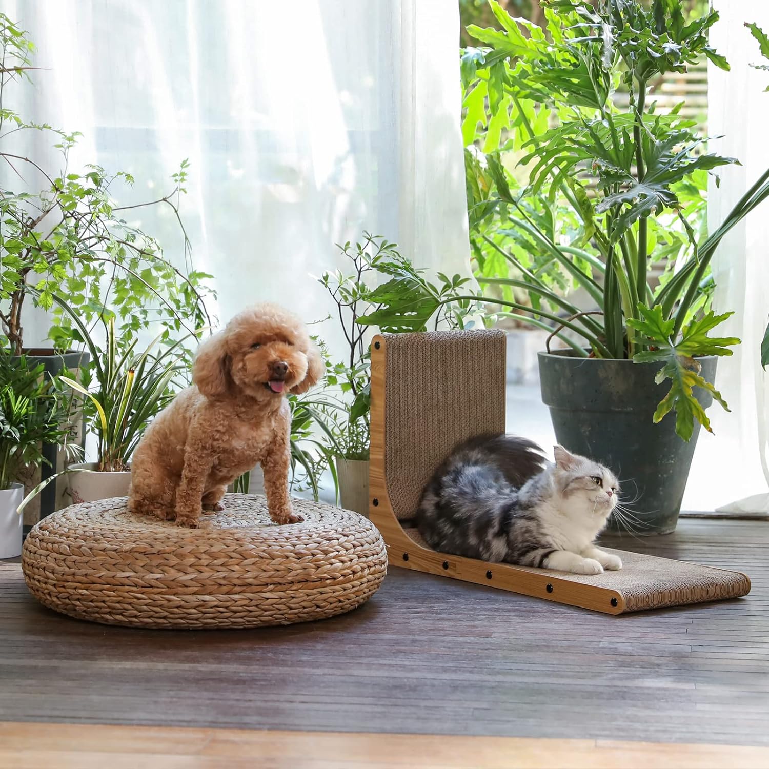 Cat Scratcher L Shape with Ball Toy for Indoor Cats